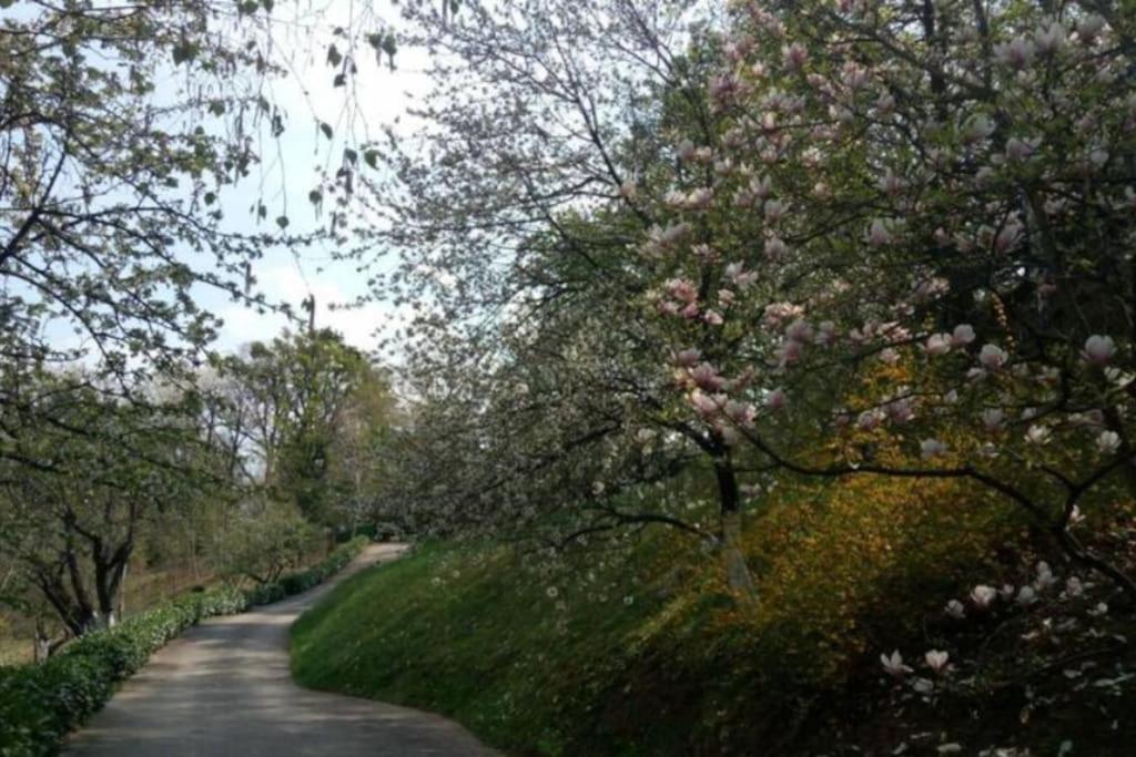 Cozzy Apartment In Nature Ζάγκρεμπ Εξωτερικό φωτογραφία